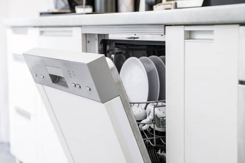 dishwasher won't drain