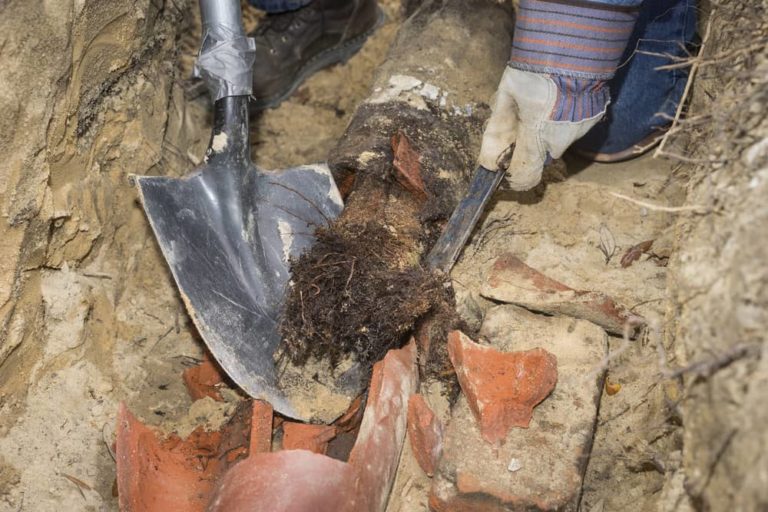 how-to-get-rid-of-roots-in-your-sewer-line