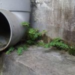 Trenchless Pipe Installation: How Does It Work?